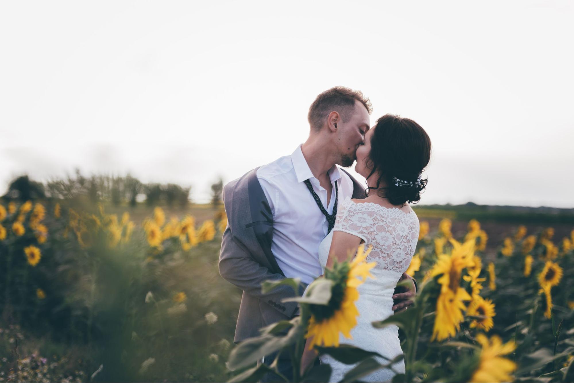 A bride and groom kisses in a sunflower field.