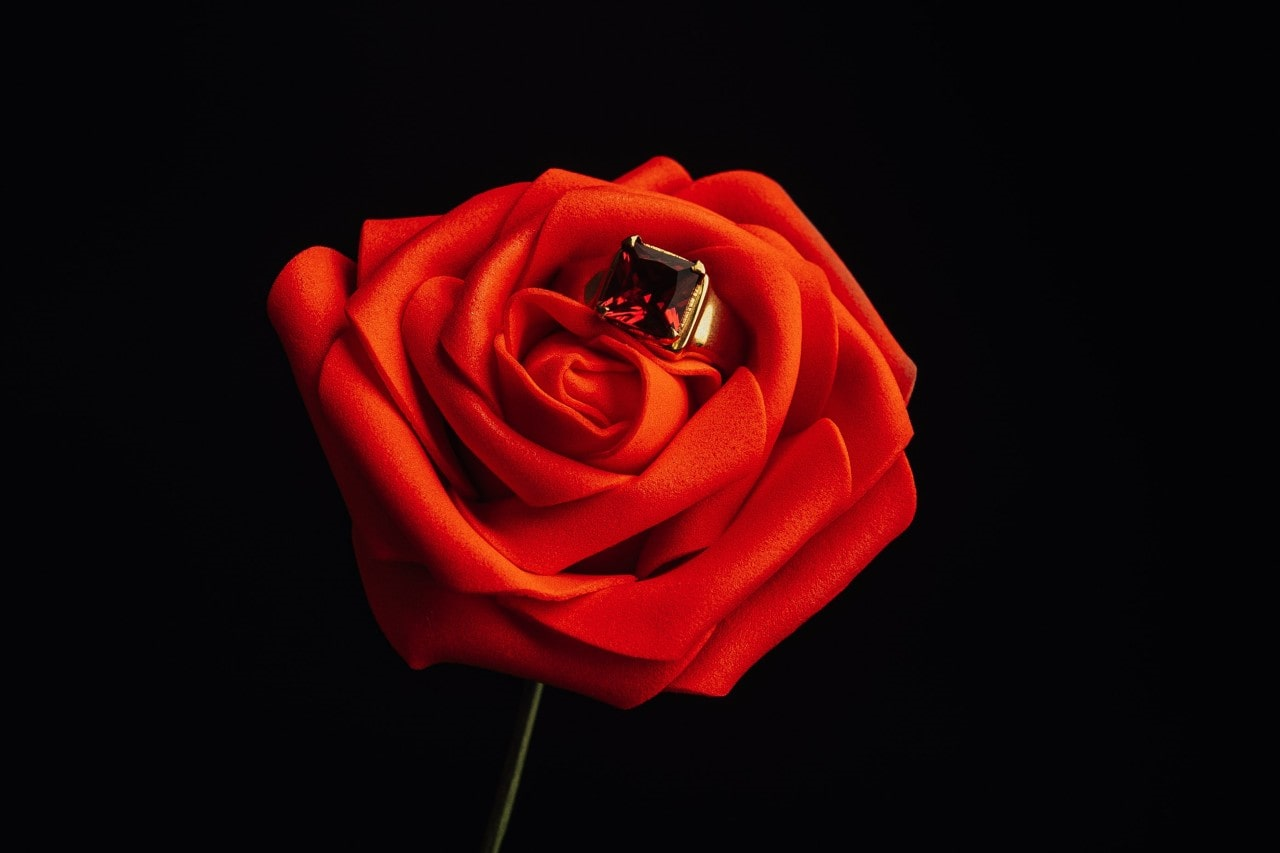 dark gemstone ring hidden inside a red rose