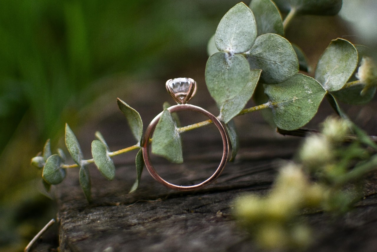 engagement ring on plant engagement ring on plant